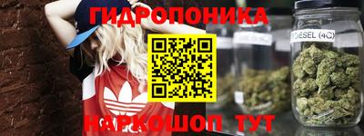 трава Ачхой-Мартан