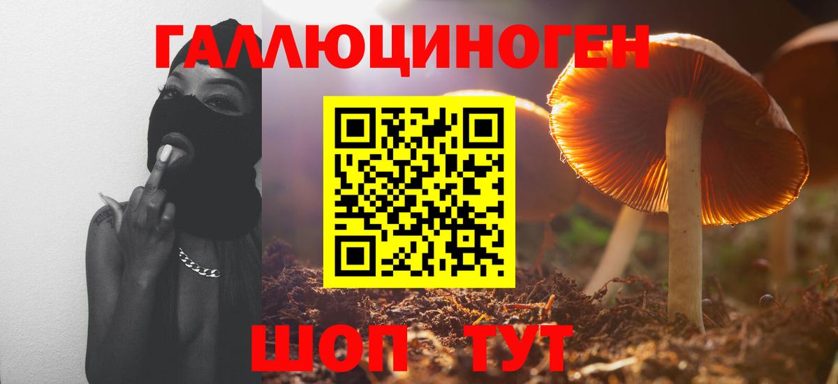 Псилоцибиновые грибы Psilocybine cubensis  Вход с VPN  Белая Калитва 